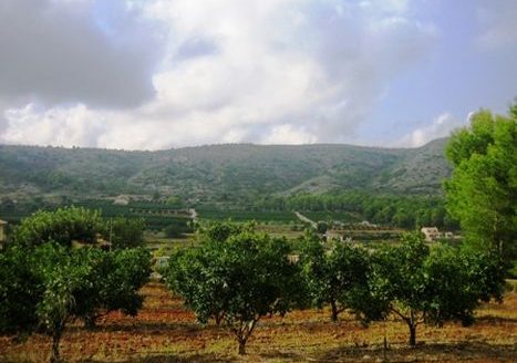 0 Bed, 0 Bath Land in Benissa, Alicante