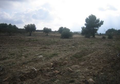 0 Bed, 0 Bath Land in Benissa, Alicante