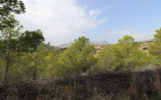 0 Bed, 0 Bath Land in Benissa, Alicante