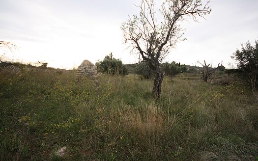 0 Bed, 0 Bath Plot in Benissa, Alicante